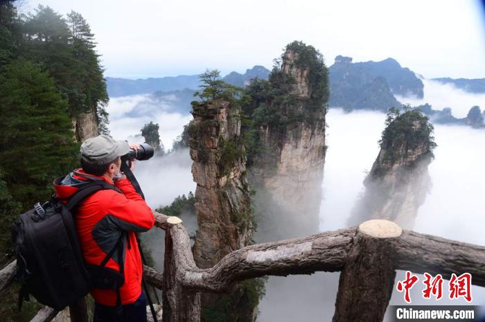 张家界武陵源春日云海醉人