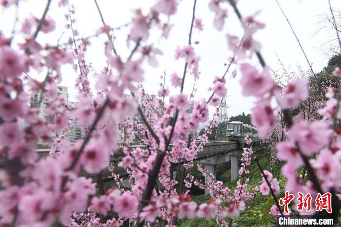 重庆：开往春天的列车