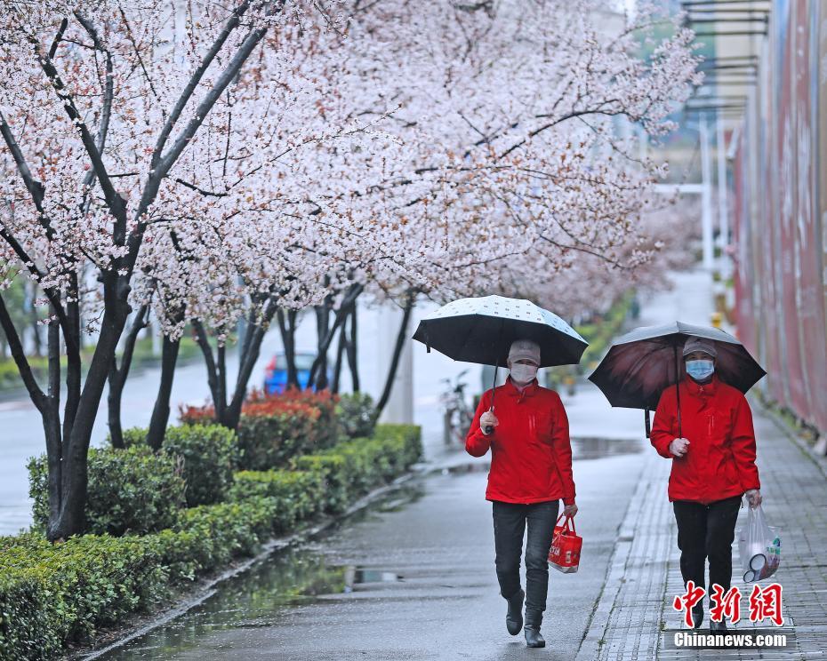 湖北宜昌城市里的“最美归家人