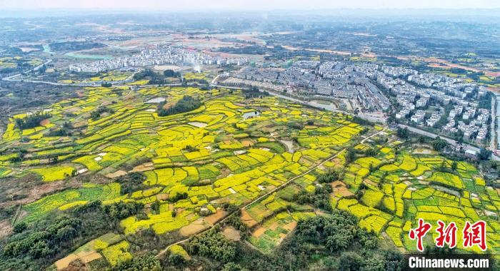 四川春色满园迎来踏青赏花季