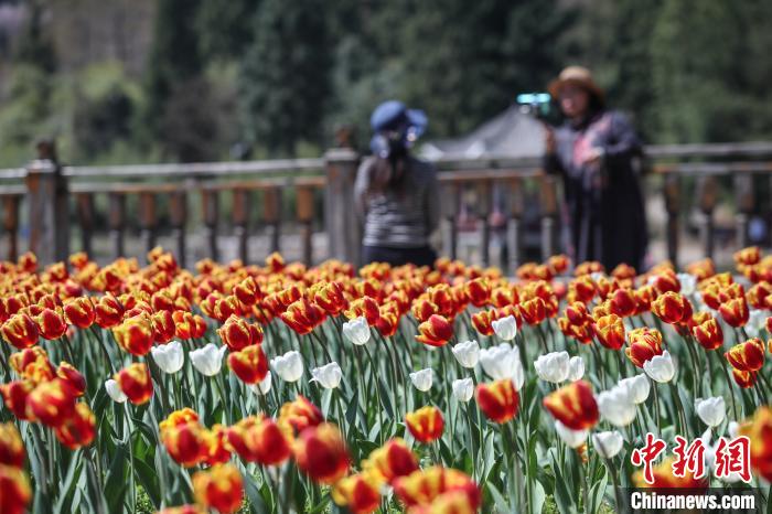 贵州龙里天气晴好 游客走进公园乐享周末时光