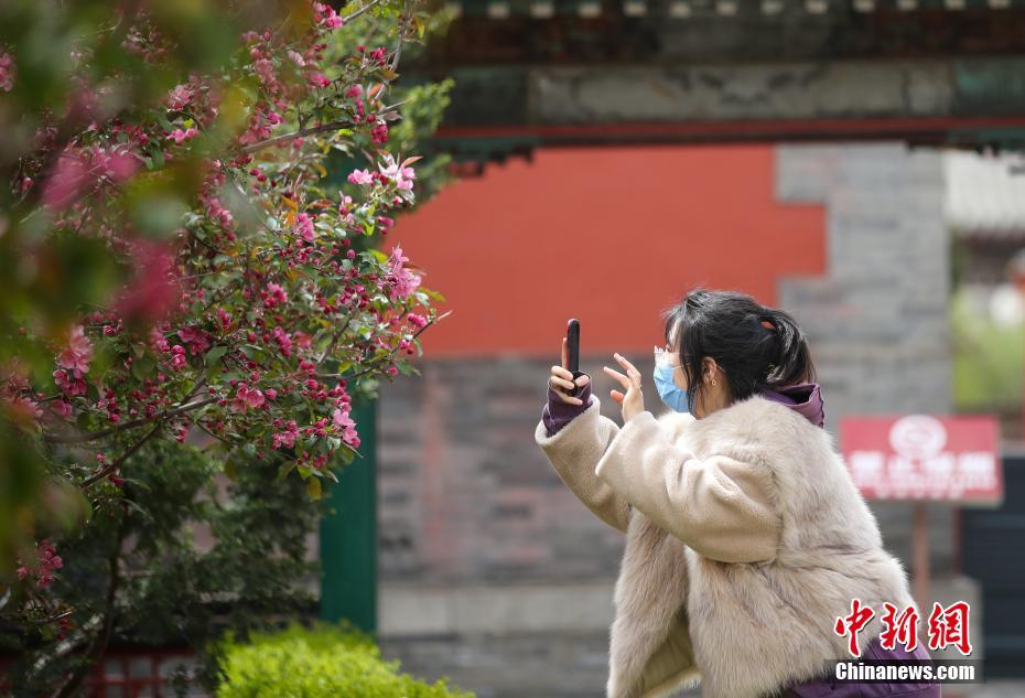 沈阳故宫春意盎然