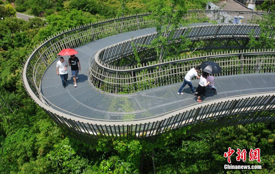 “五一”假期 福州民众森林上空漫步