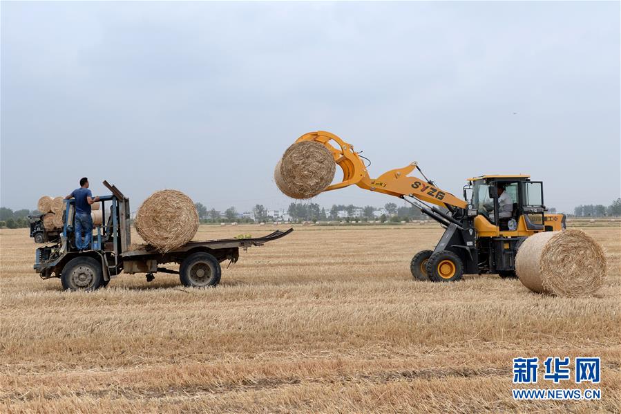 安徽五河：秸秆发电助力节能环保