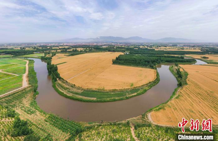 田间的天然调色板！山西小麦成熟麦浪滚滚美如画