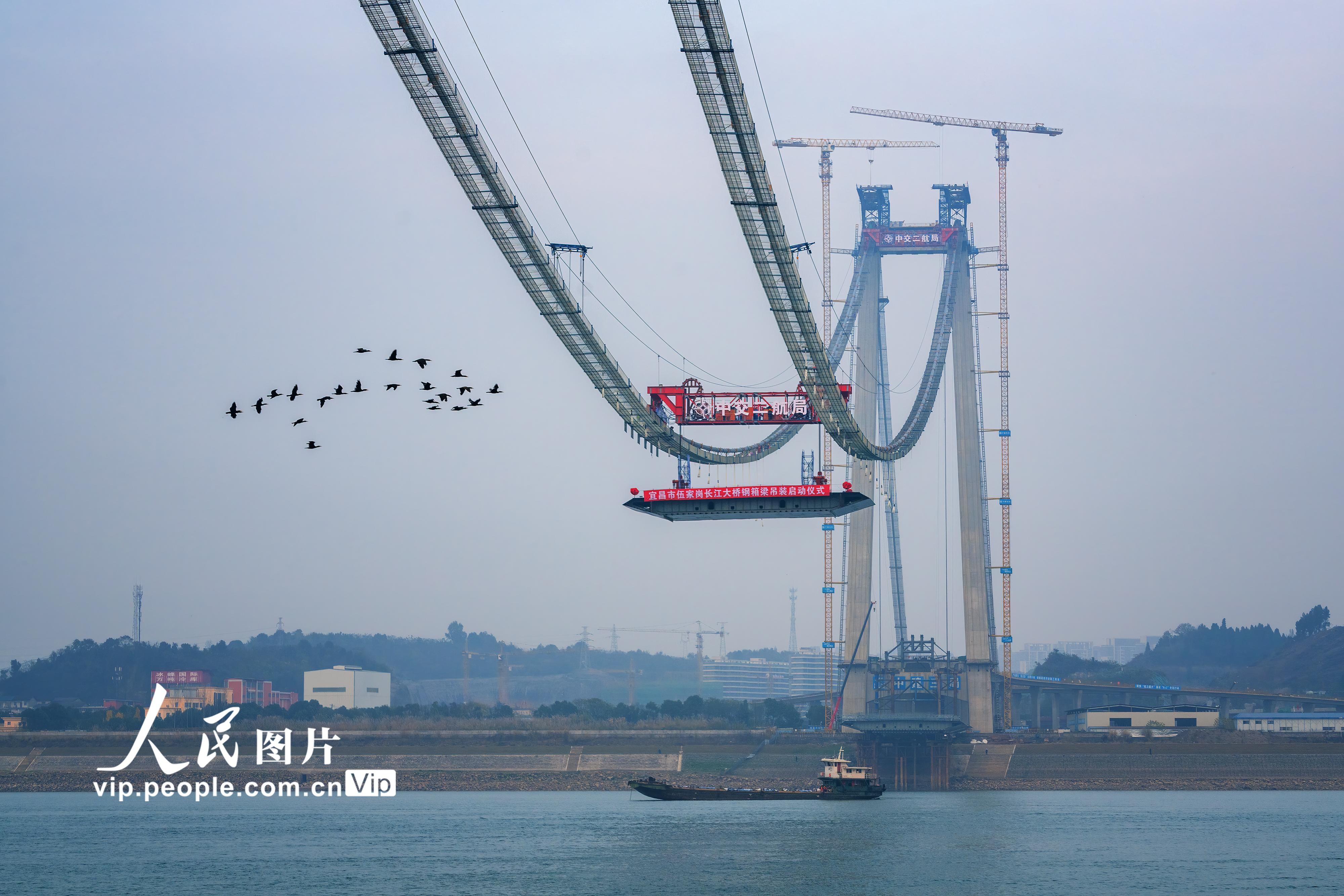 湖北宜昌：伍家岗长江大桥成功吊装首榀钢箱梁