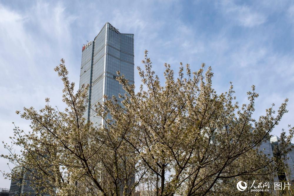 沙尘过后 北京再现蓝天白云