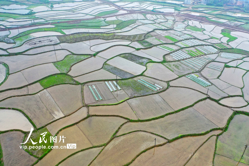 湖南道县：水田如明镜