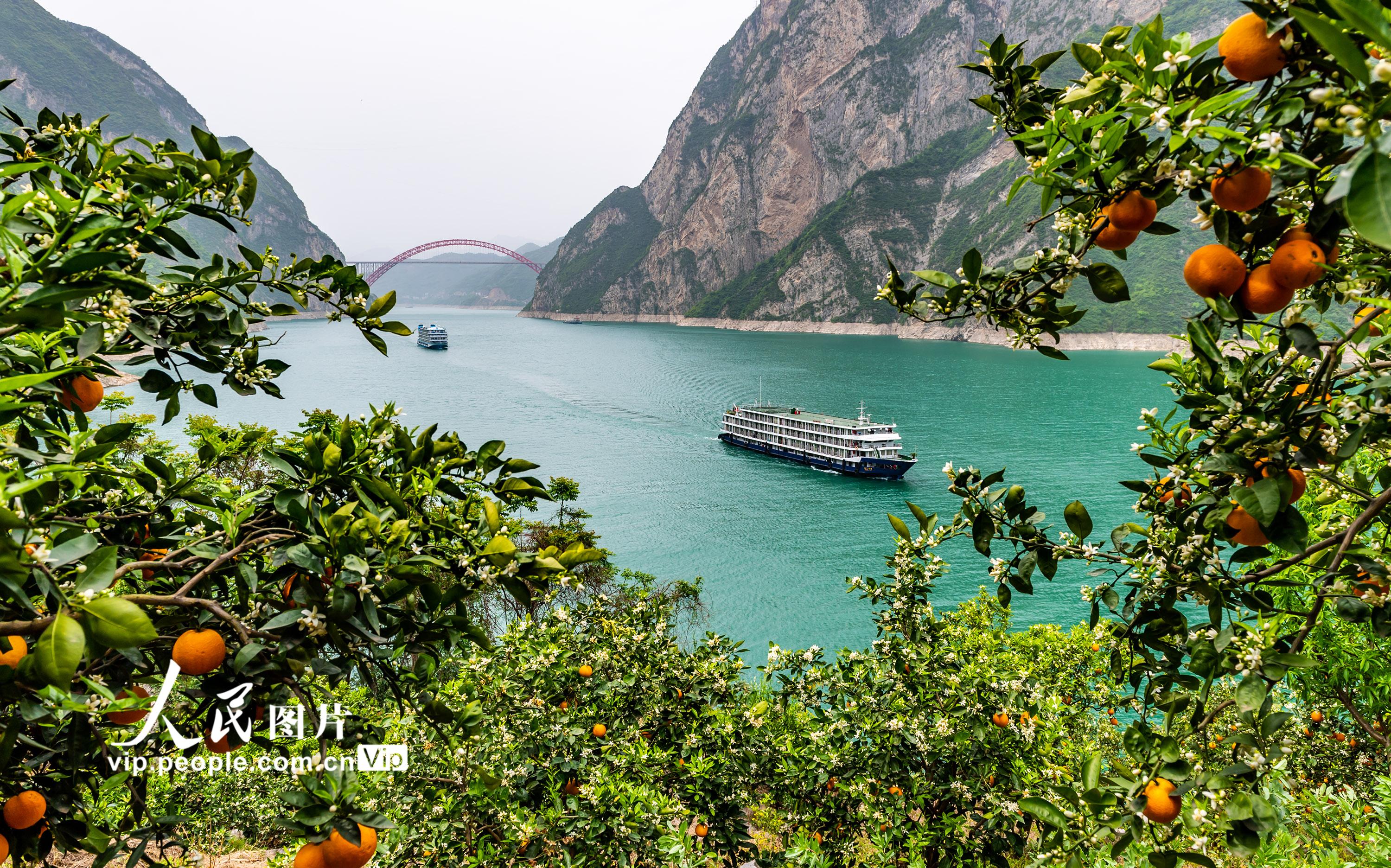 湖北秭归：三峡船游快速升温