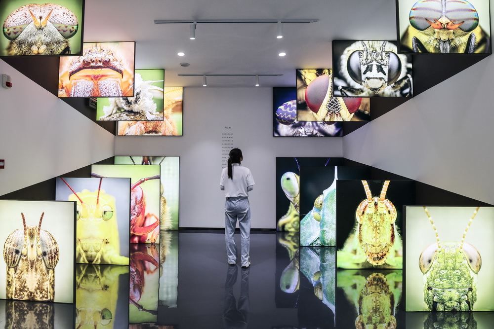 走进博鳌亚洲论坛主题公园