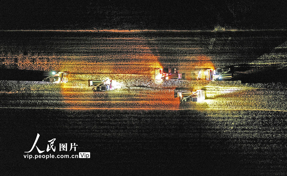 江苏泗洪：挑灯夜战抢收忙
