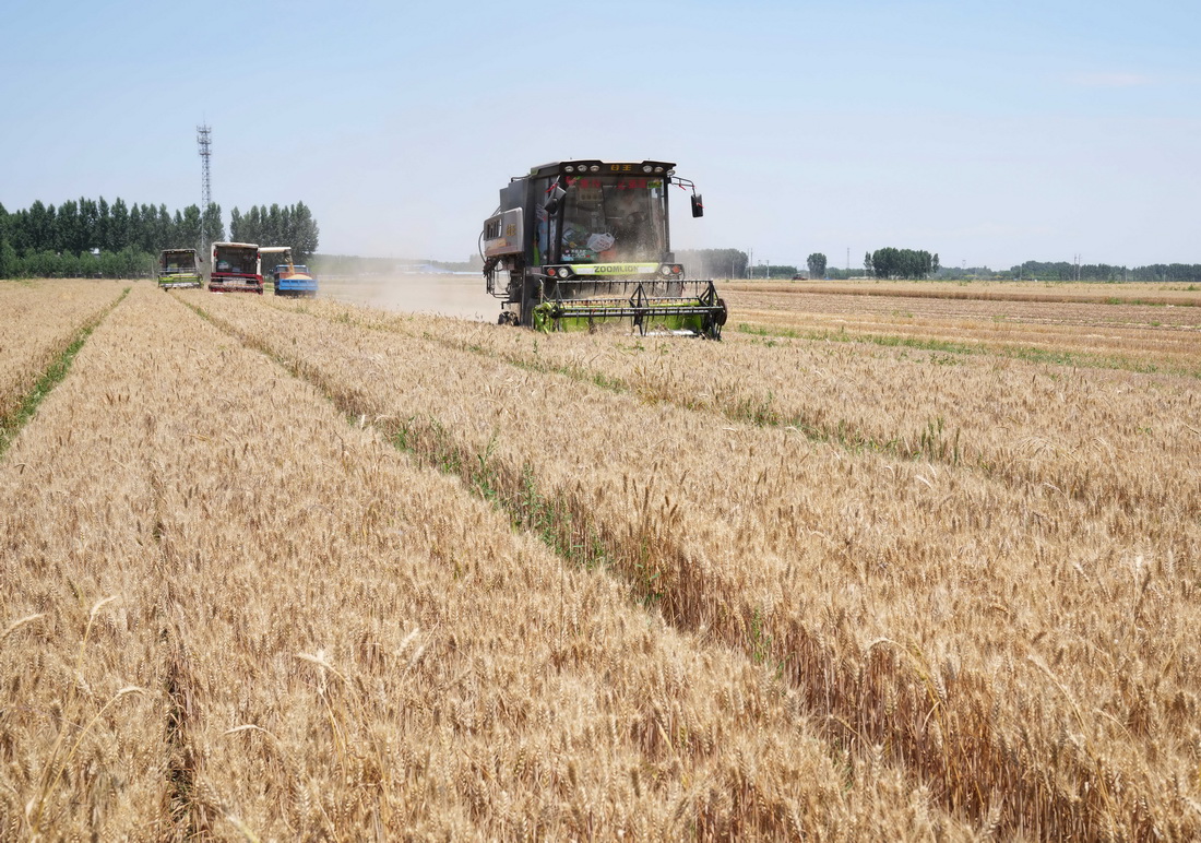 我国夏粮再获丰收