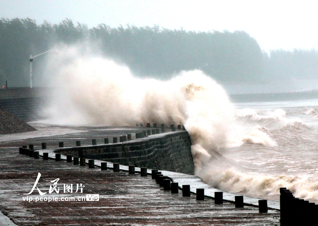 浙江海宁：“烟花”登陆杭州湾 钱塘江掀起大潮