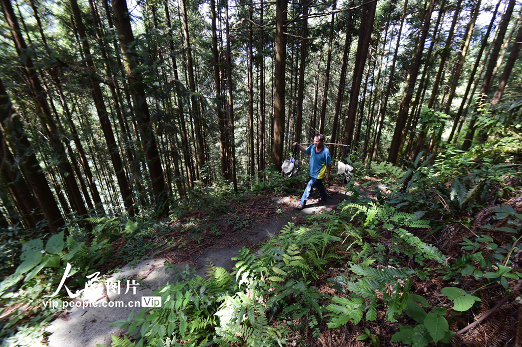 贵州锦屏：大山深处的“鸿雁”