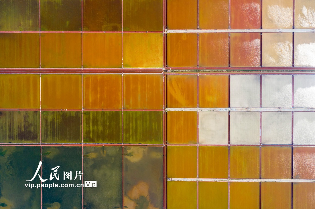 山东昌邑：七彩盐田如色盘