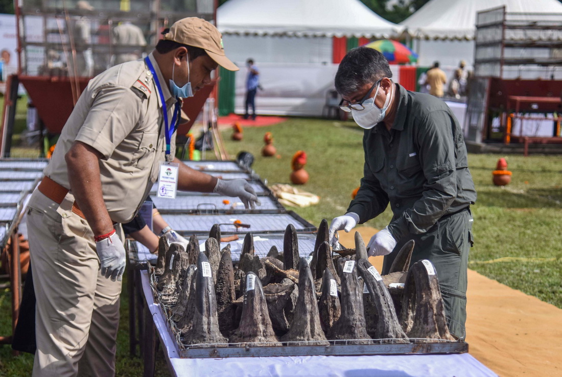 印度：焚毁犀牛角