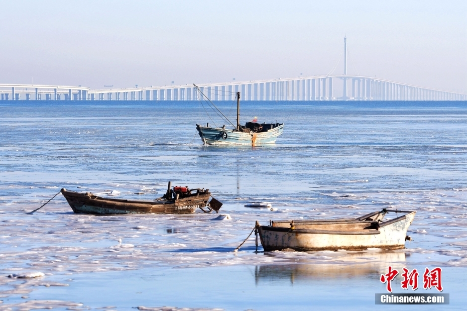 山东青岛胶州湾出现大面积海冰 船只“冻在”海面