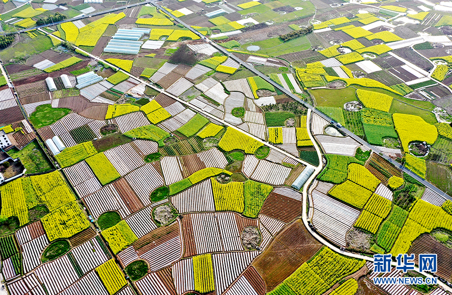 【“飞阅”中国】春到皖南