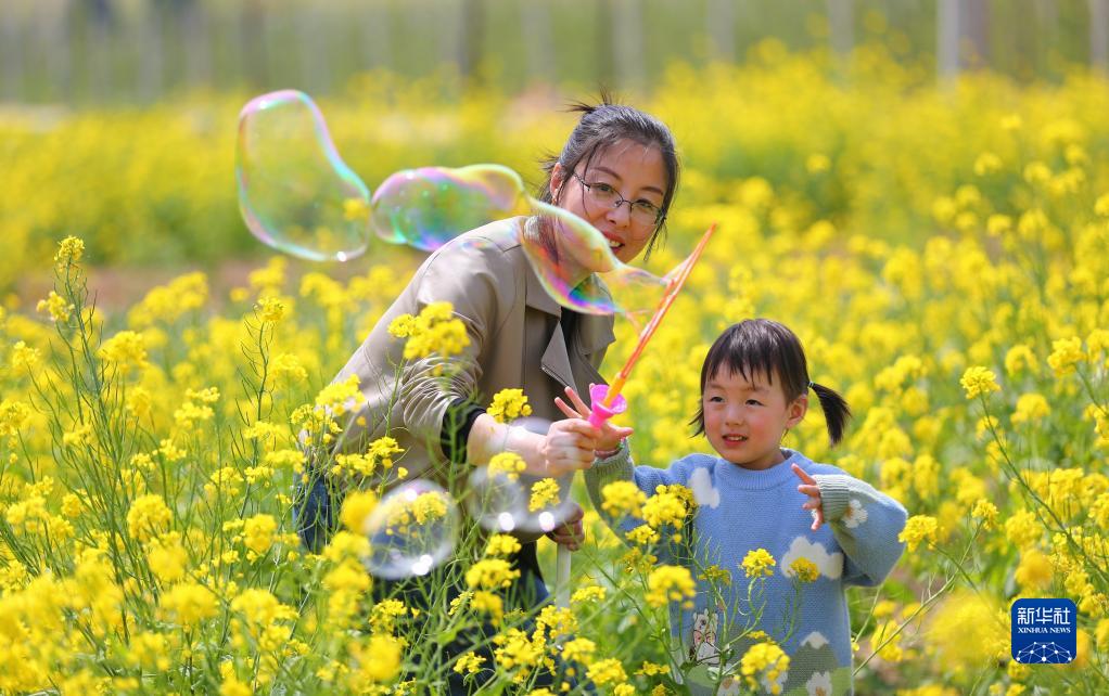 春和景明享春光